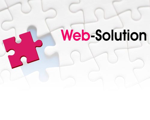 WEB SOLUTION